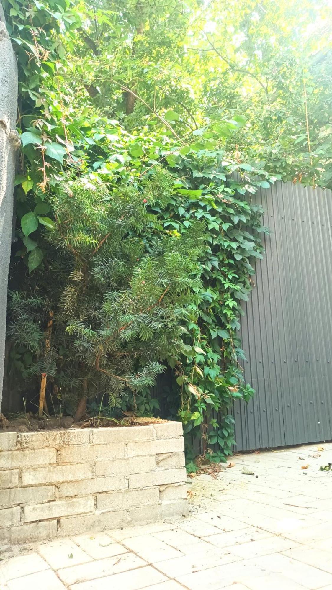 Littlehouse- Entire Property For Maximum 4 People Bucarest Extérieur photo
